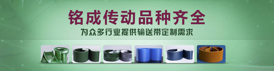 讓您的輸送設(shè)備更具品牌價(jià)值